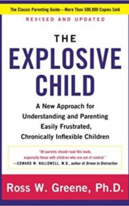 Read more about the article The Explosive Child By Roos W