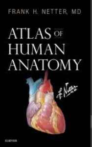 Read more about the article Atlas of Human Anatomy by Netter