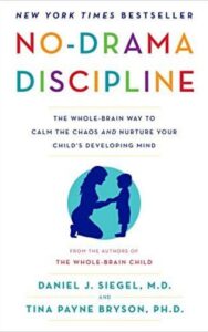 Read more about the article No-Drama Discipline By Daniel J