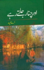 Read more about the article Aur Chanar Jalte Rahay Novel By A Hameed