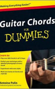 Read more about the article Guitar Chords for Dummies by Antoine Polin