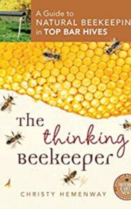 Read more about the article The Thinking Beekeeper By CHRISTY HEMENWAY