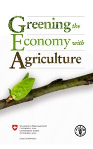 Read more about the article Greening the Economy with Agriculture By Martin Khor