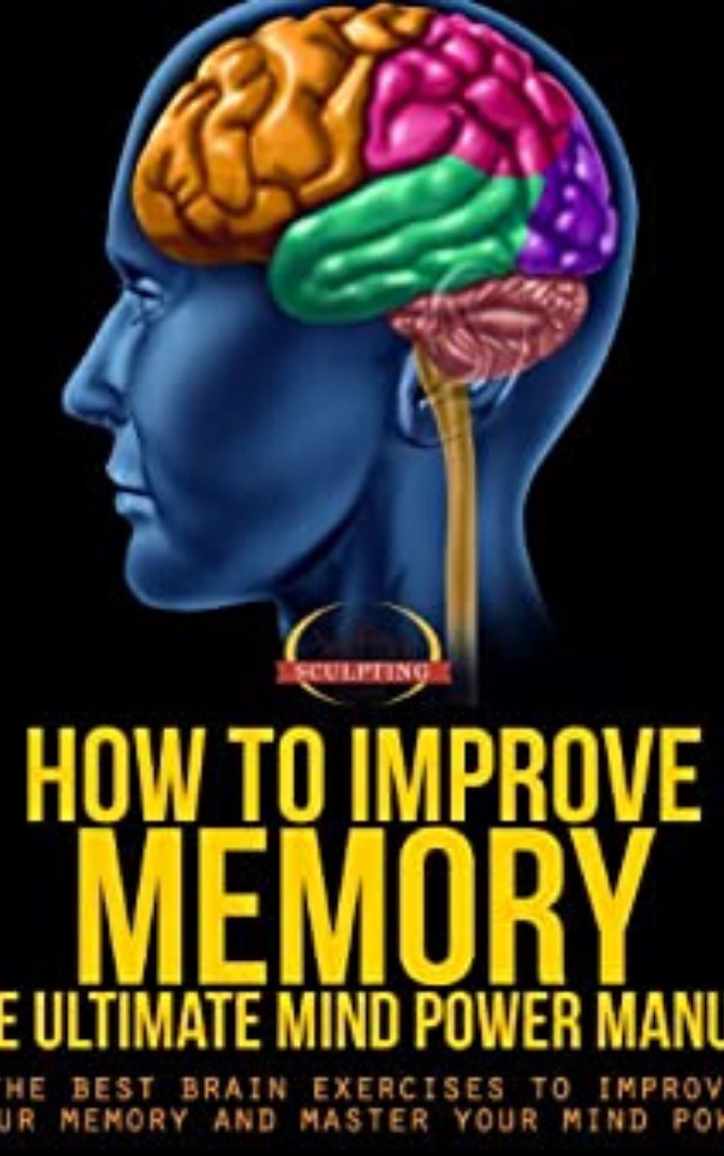 You are currently viewing How To Improve Memory by Success Sculpting Coach