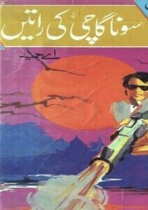 Read more about the article Sonagachi Ki Ratain Novel By A Hameed