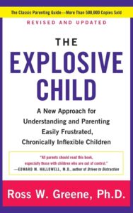 Read more about the article The Explosive Child By Ross W. Greene