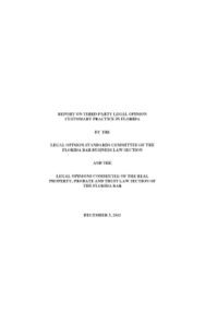 Read more about the article Report on Third-Party Legal Opinion By David R. Brittain