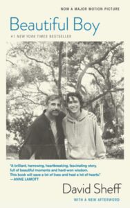 Read more about the article Beautiful Boy By David Sheff