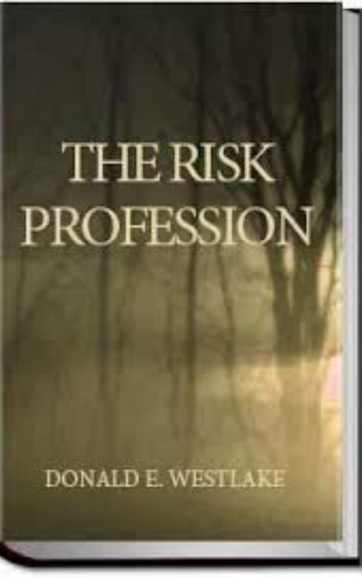 You are currently viewing The Risk Profession By  Donald E. Westlake