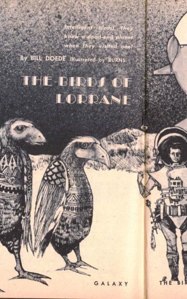 The Birds of Lorrane