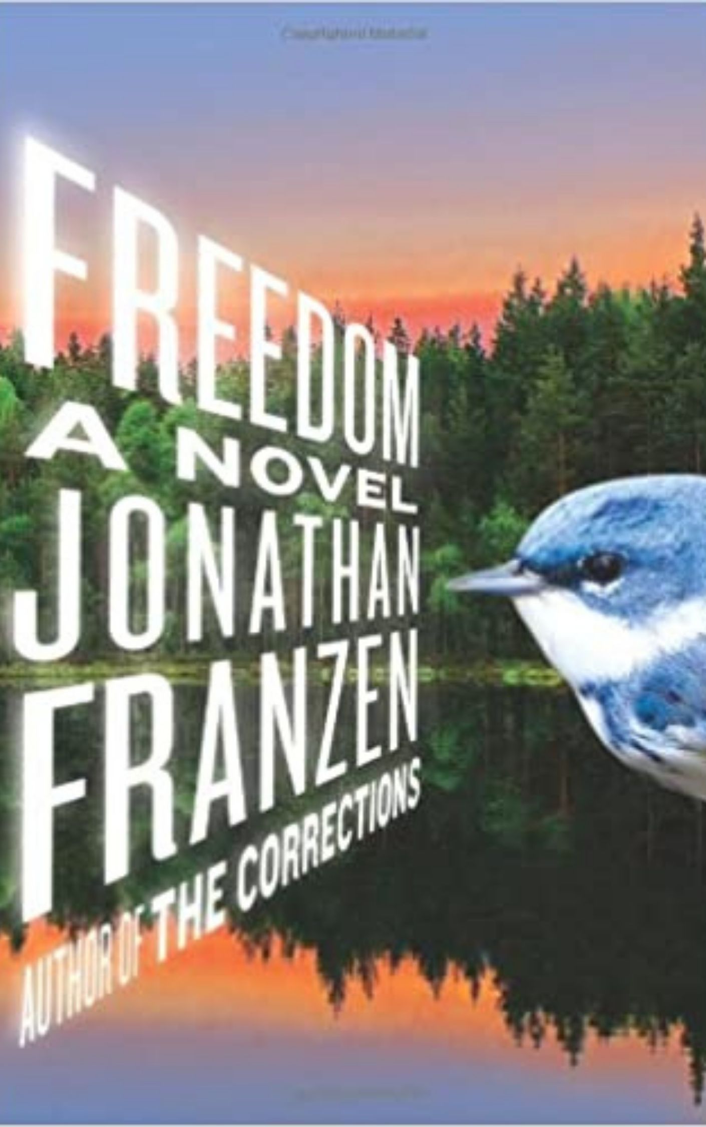 Freedom A Novel