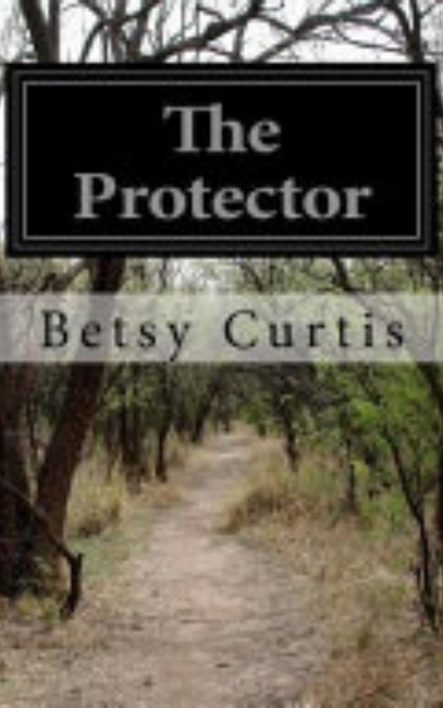 You are currently viewing The Protector By  Betsy Curtis