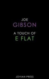 Read more about the article A Touch of E Flat By  Joe Gibson