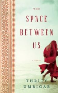 Read more about the article The Space Between Us A Novel By Thrity Umrigar