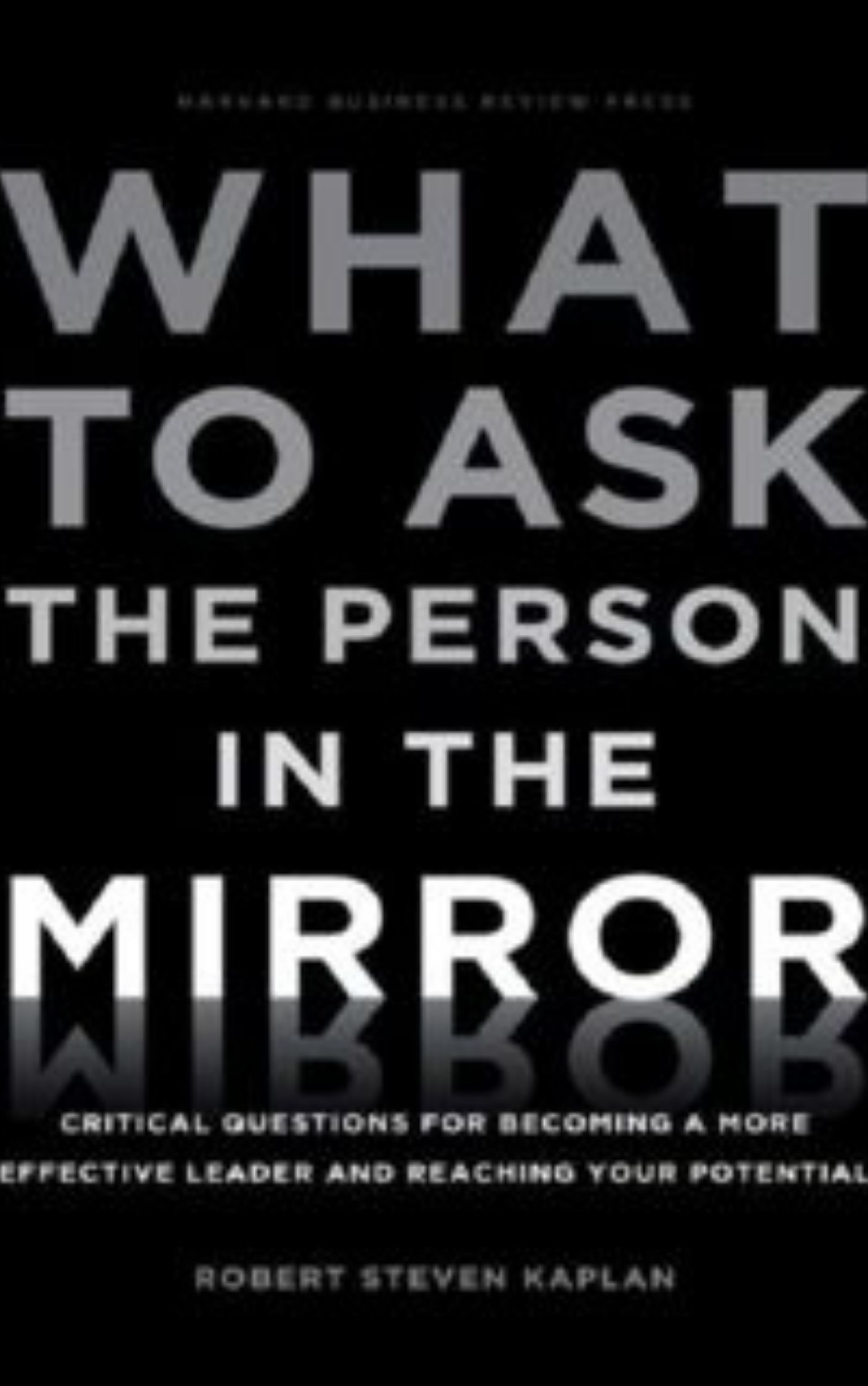 You are currently viewing What to Ask the Person in the Mirror by Robert Steven Kaplan