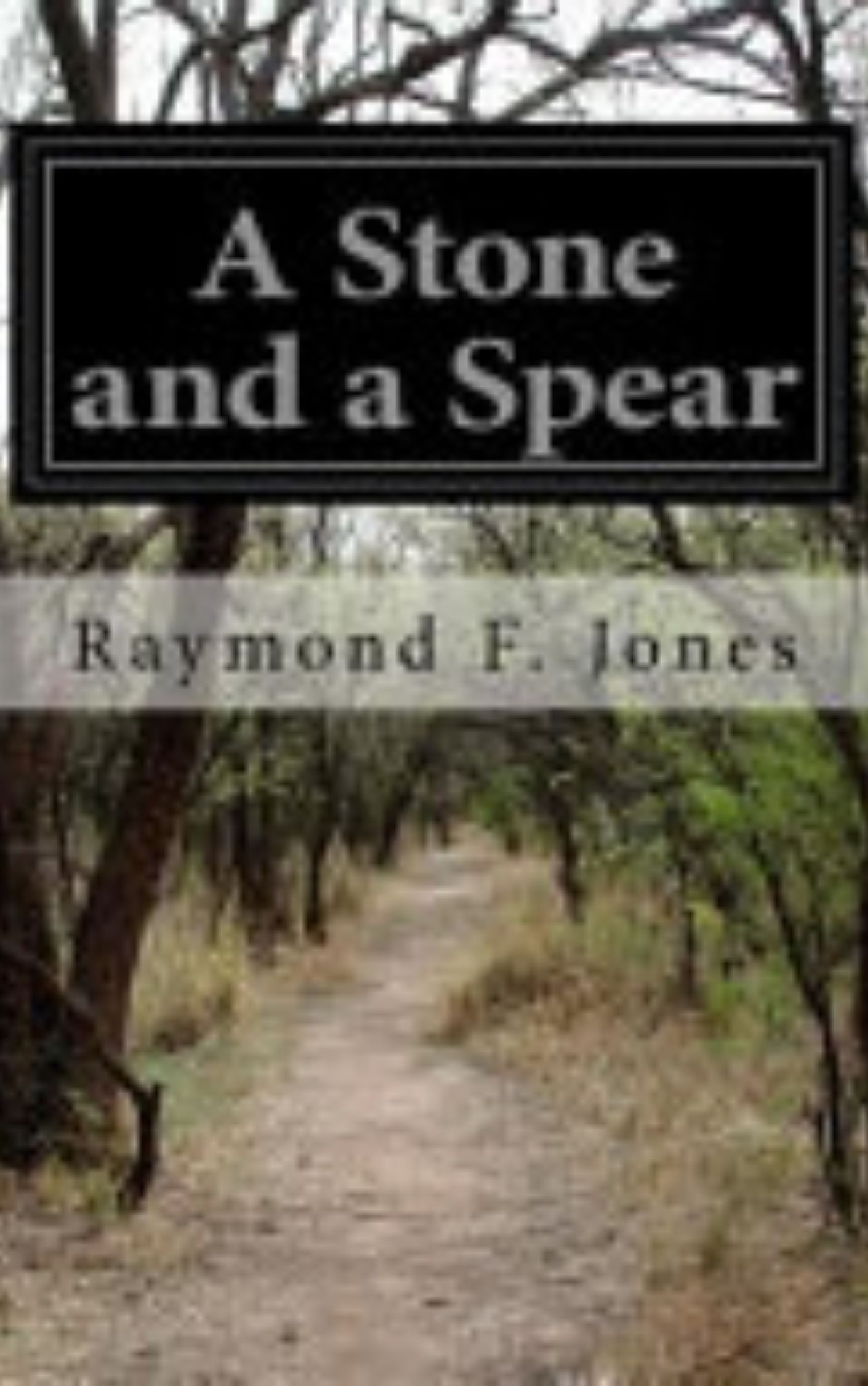 You are currently viewing A Stone and a Spear By  Raymond F. Jones