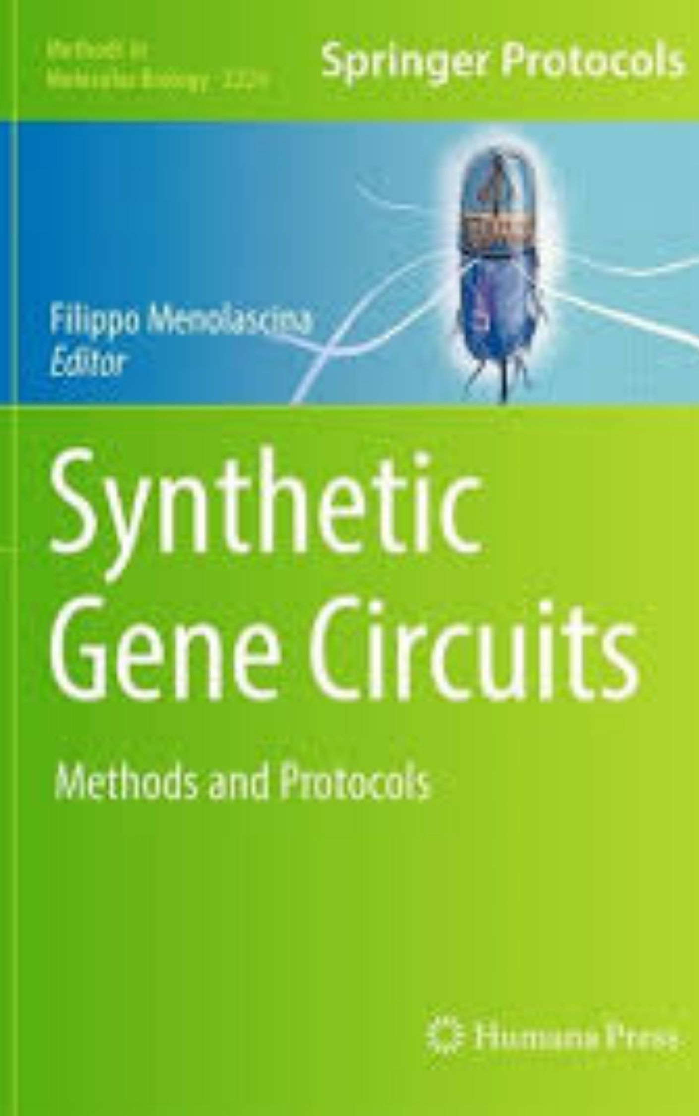 Synthetic Gene Circuits