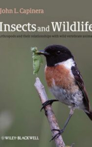 Read more about the article Insects and Wildlife by Dr John Capinera