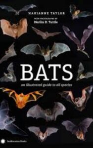 Read more about the article Bats An illustrated guide to all species by Marianne Taylor