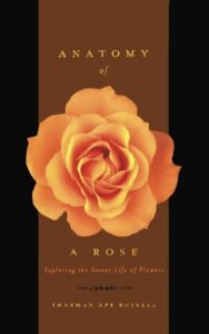 Read more about the article Anatomy of a Rose Exploring by Sharman Apt Russell