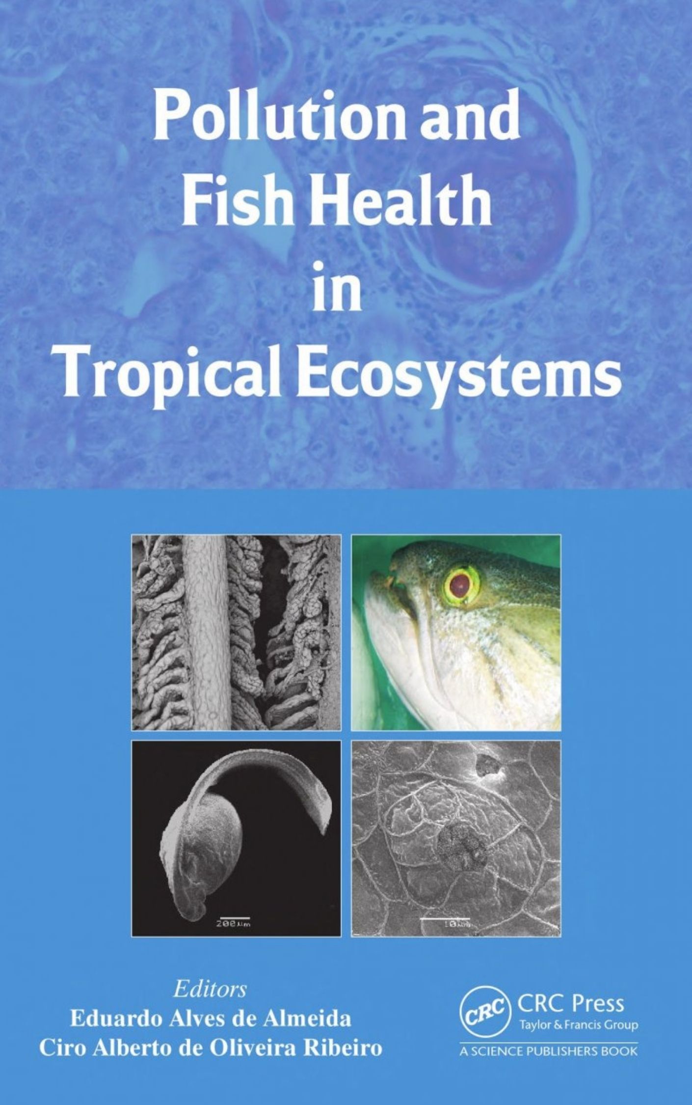 You are currently viewing Pollution and Fish Health in Tropical Ecosystems by  Eduardo Alves de Almeida