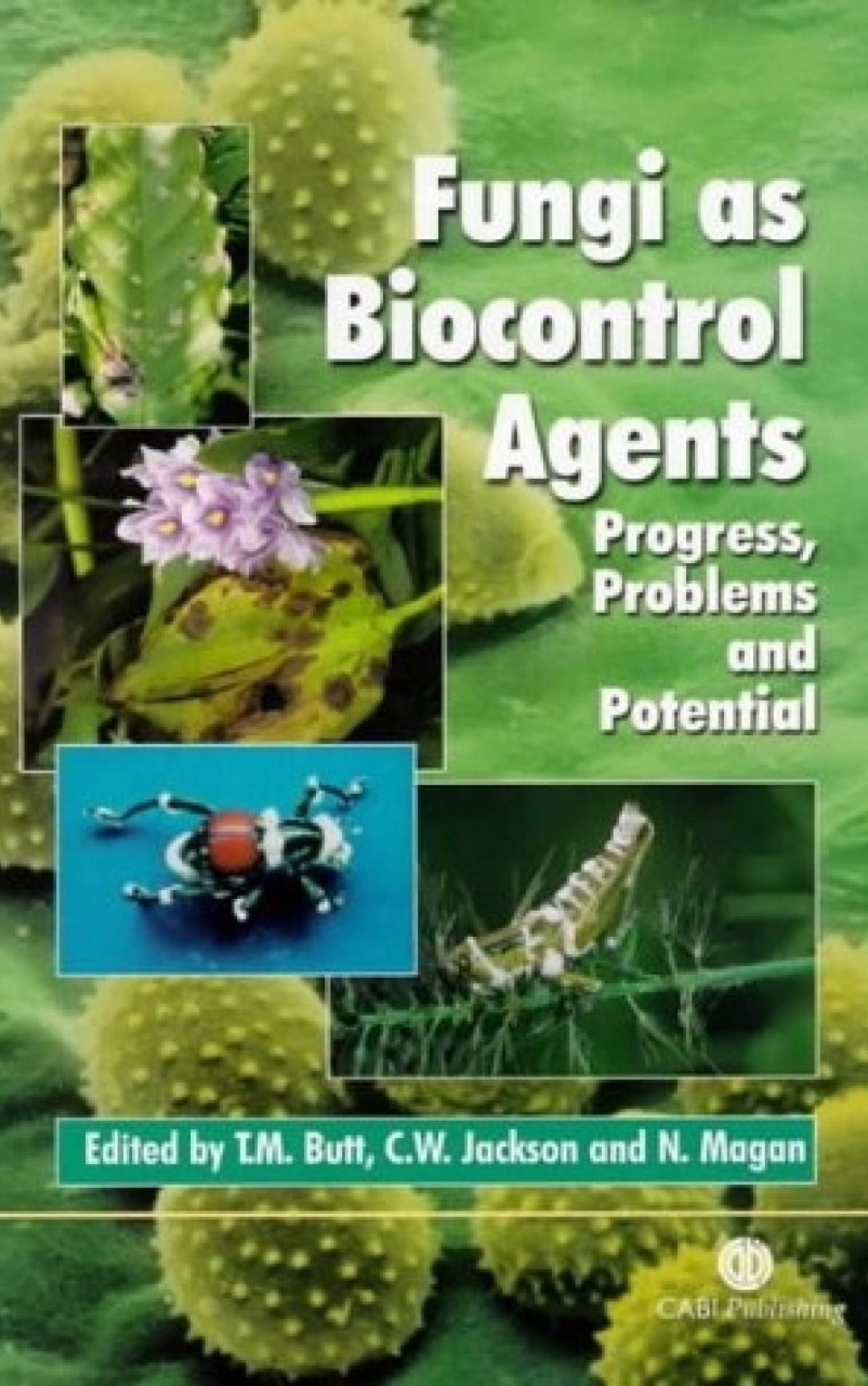 You are currently viewing Fungi As Biocontrol Agents Progress Problems and Potential by Tariq M. Butt