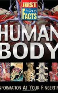 Read more about the article Just the Facts Human Body  by School Specialty Publishing