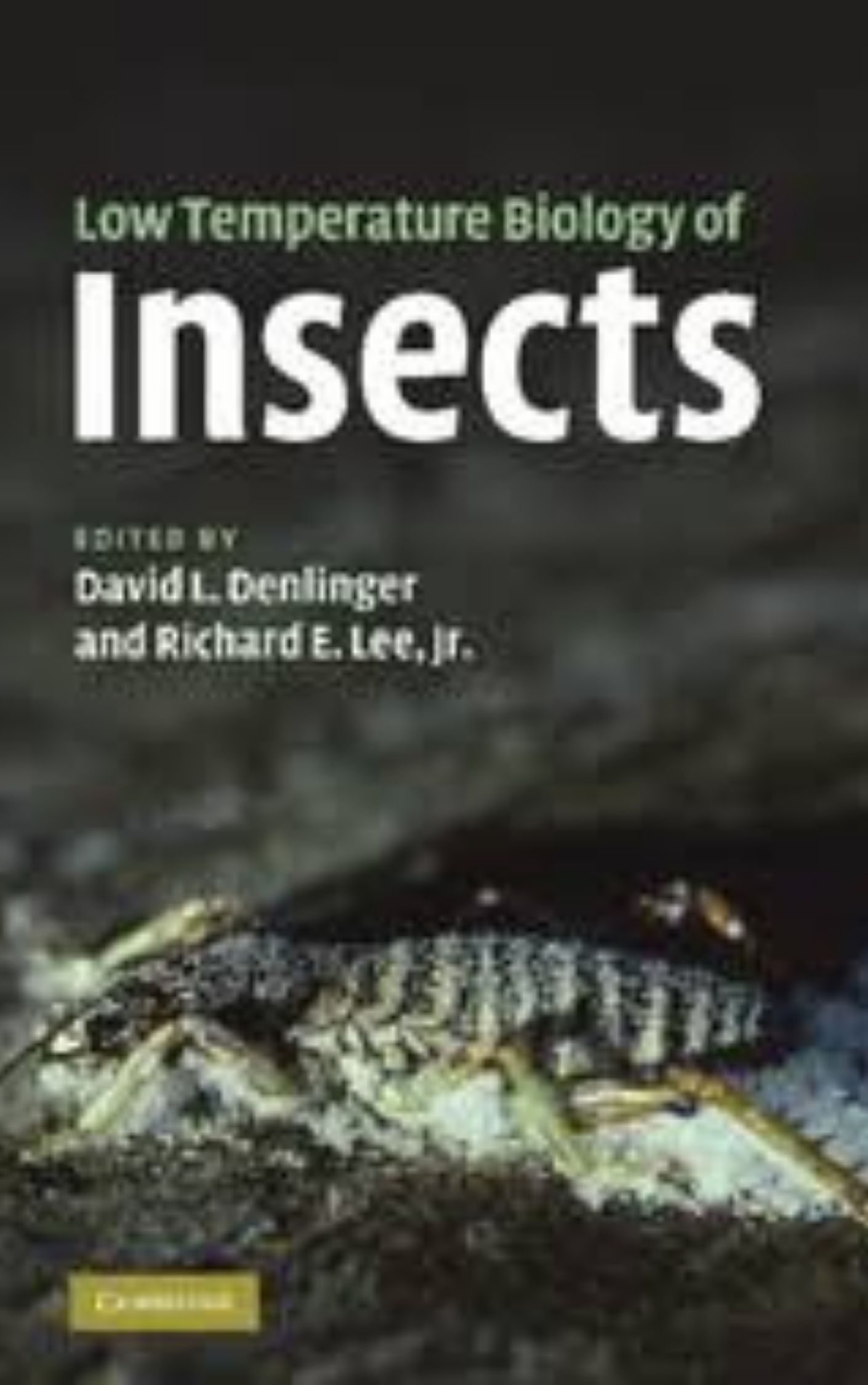 Low Temperature Biology of Insects