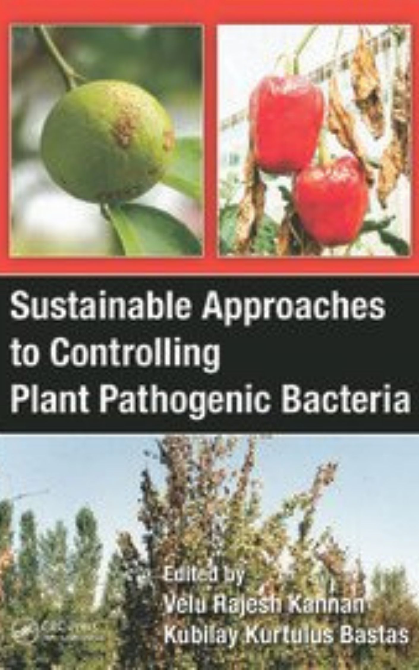 Sustainable Approaches to Controlling Plant Pathogenic Bacteria