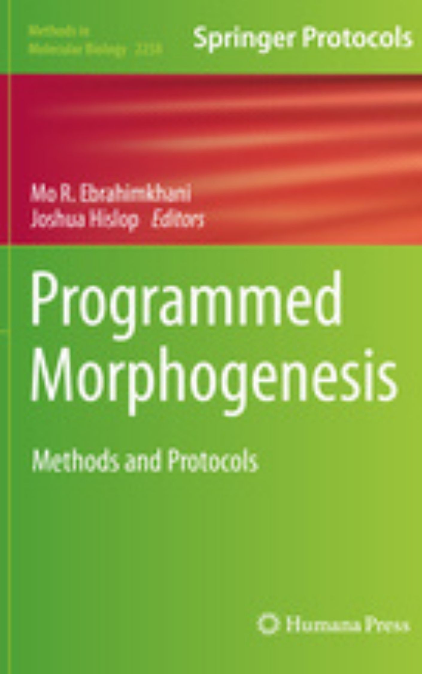 Programmed Morphogenesis