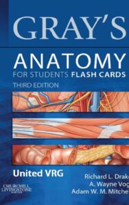 Read more about the article Scribd Grays Anatomy by Drake Richard