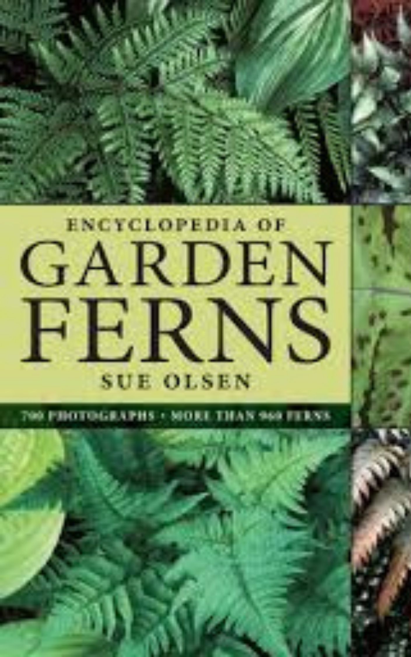 Encyclopedia of Garden Ferns