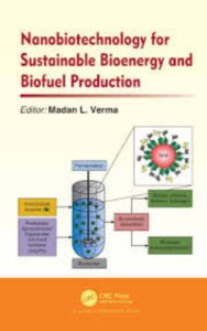 Read more about the article Nanobiotechnology for Sustainable Bioenergy and Biofuel Production by  Madan L. Verma