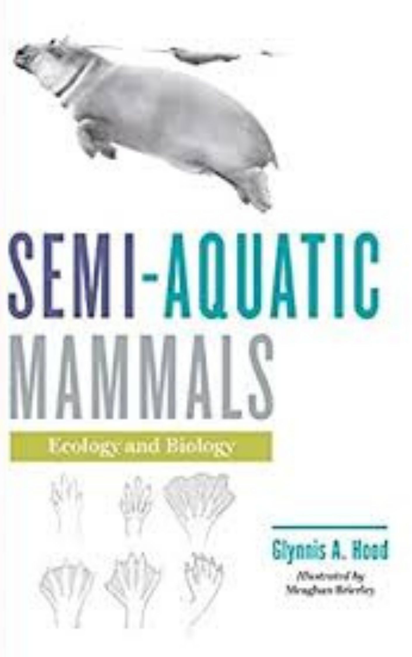 Semi aquatic Mammals