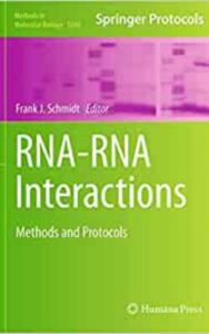 Read more about the article RNA RNA Interactions Methods and Protocols by  Frank Schmidt