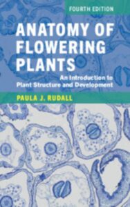 Read more about the article Anatomy of Flowering Plants by Paula J. Rudall