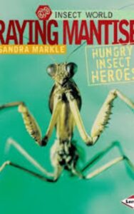 Read more about the article Praying Mantises Hungry Insect Heroes by Sandra Markle