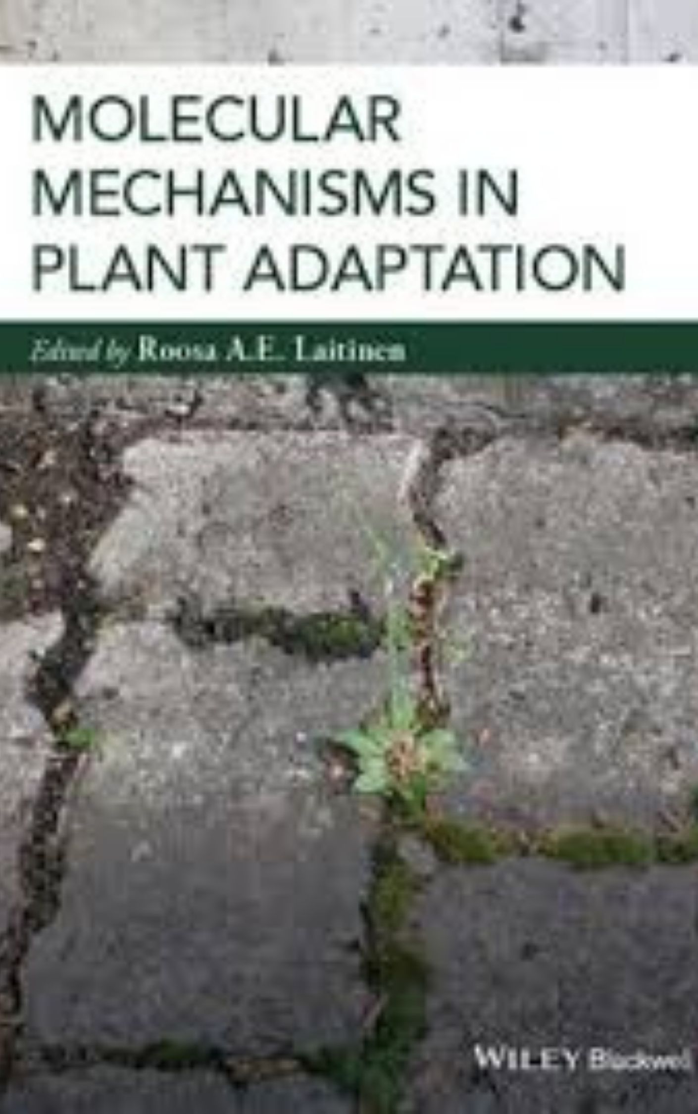 You are currently viewing Molecular Mechanisms in Plant Adaptation by Roosa Laitinen