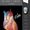 Netters Anatomy Flash Cards