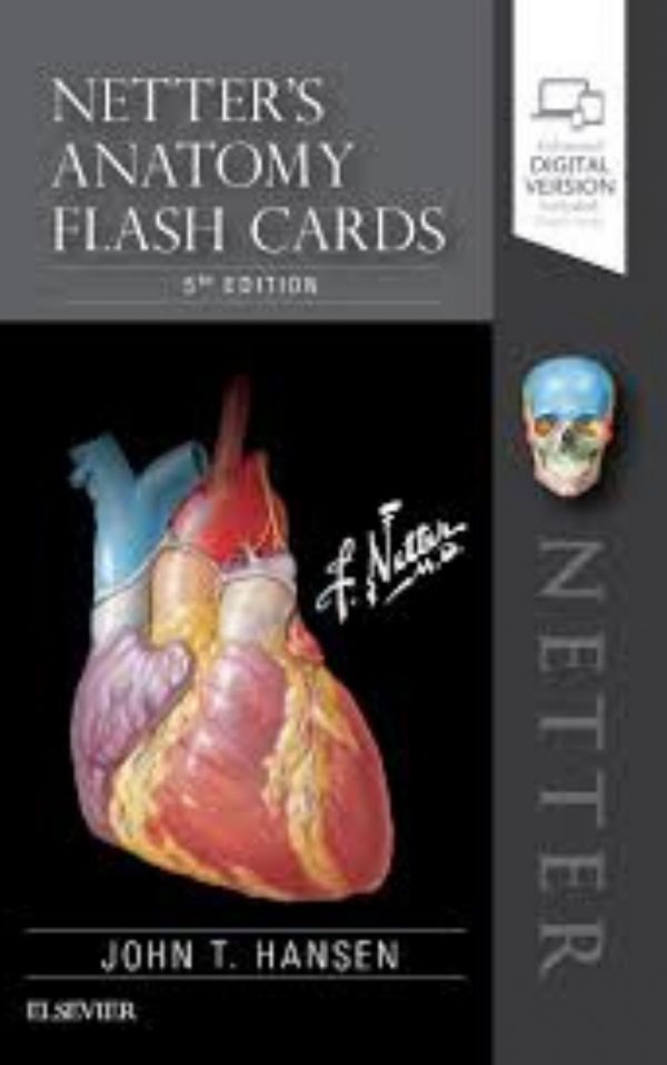 Netters Anatomy Flash Cards