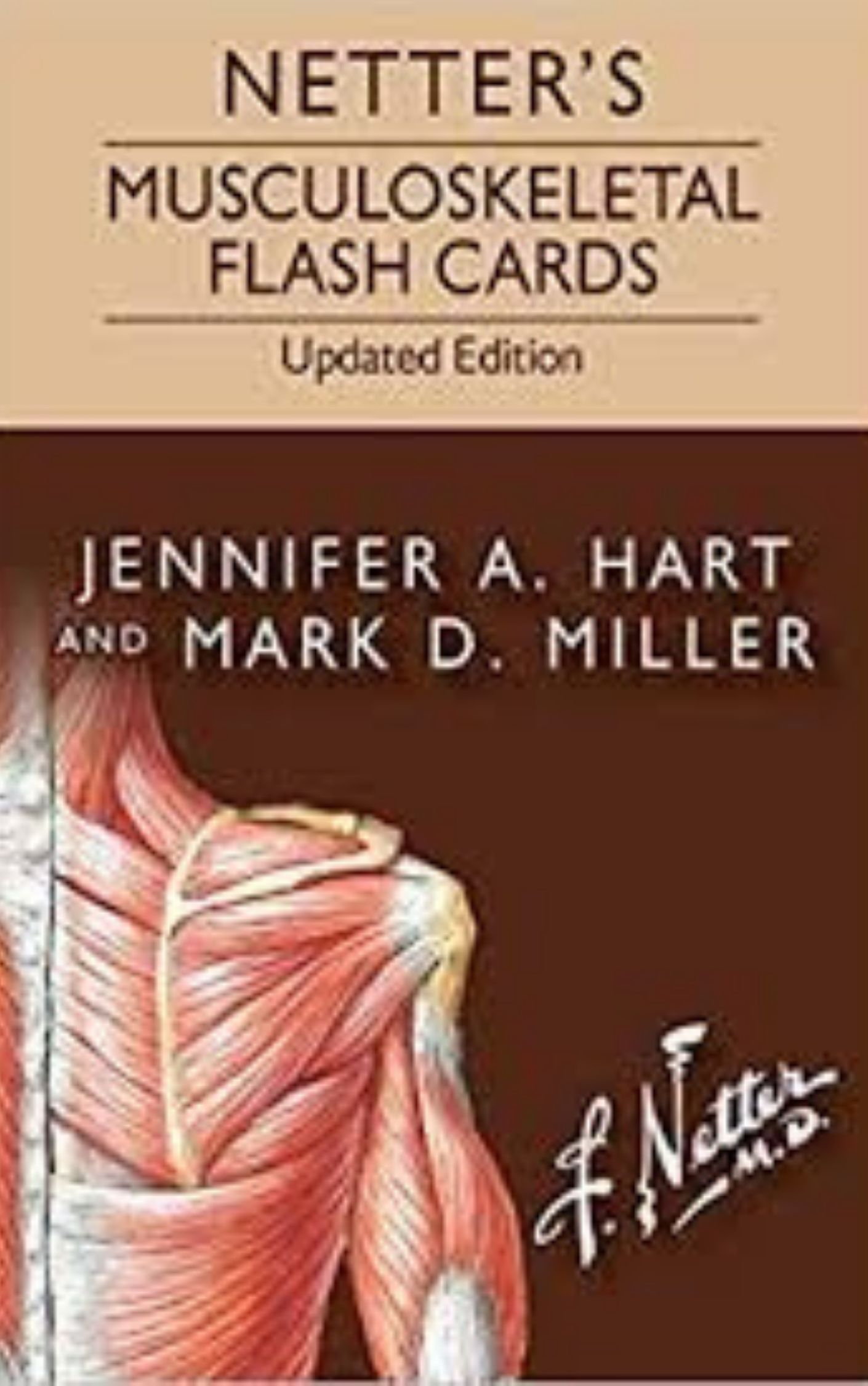 Netters Musculoskeletal Flash Cards