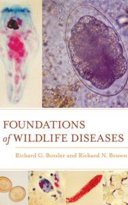 Read more about the article Foundations of Wildlife Diseases by Richard George Botzler