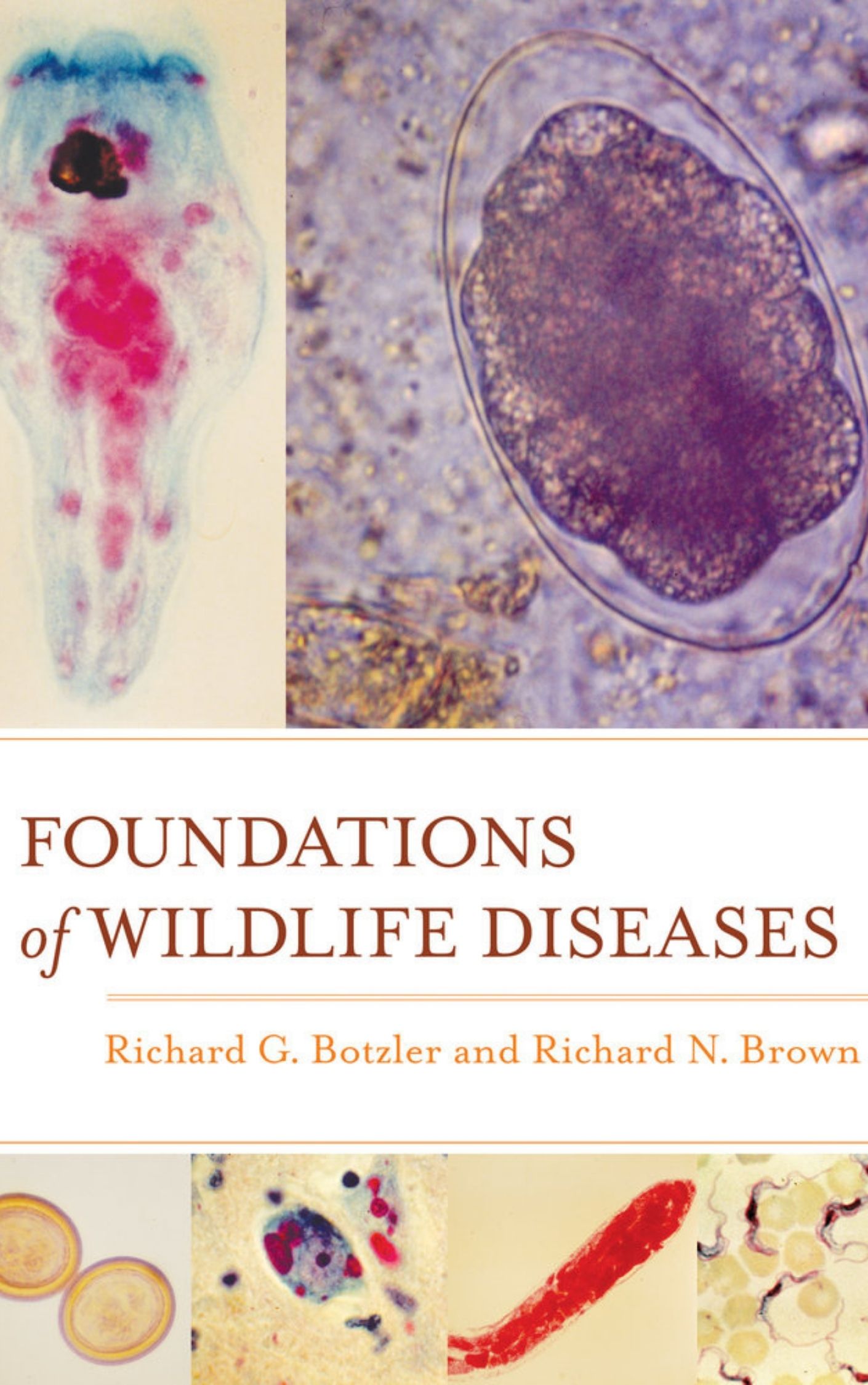 Foundations of Wildlife Diseases