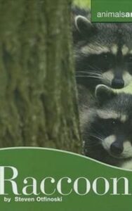 Read more about the article Raccoons by Steven Otfinoski