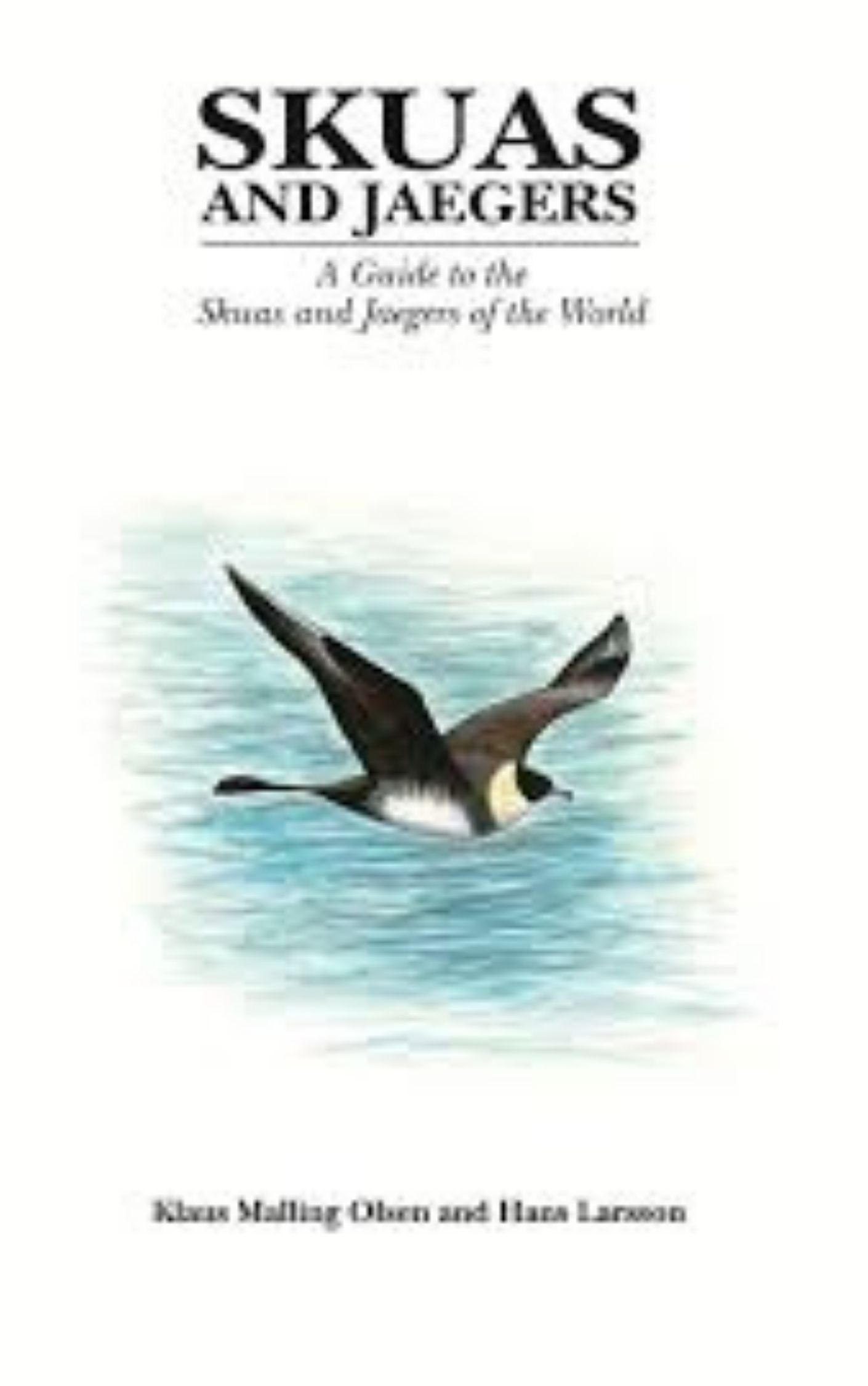 You are currently viewing Skuas and Jaegers by Klaus Malling Olsen