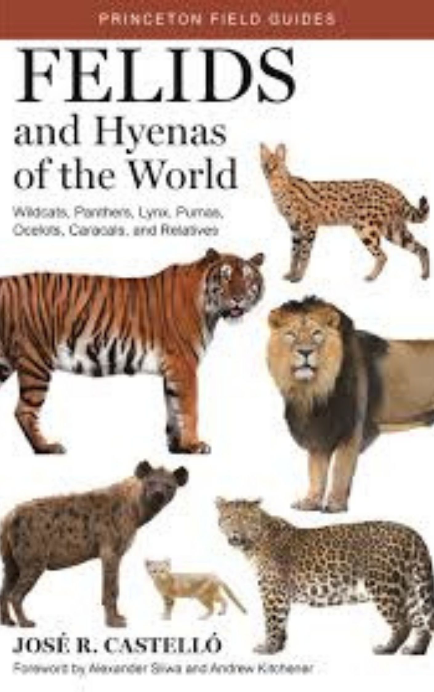 Felids and Hyenas of the World