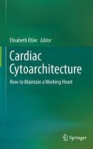 Read more about the article Cardiac Cytoarchitecture by Elisabeth Ehler