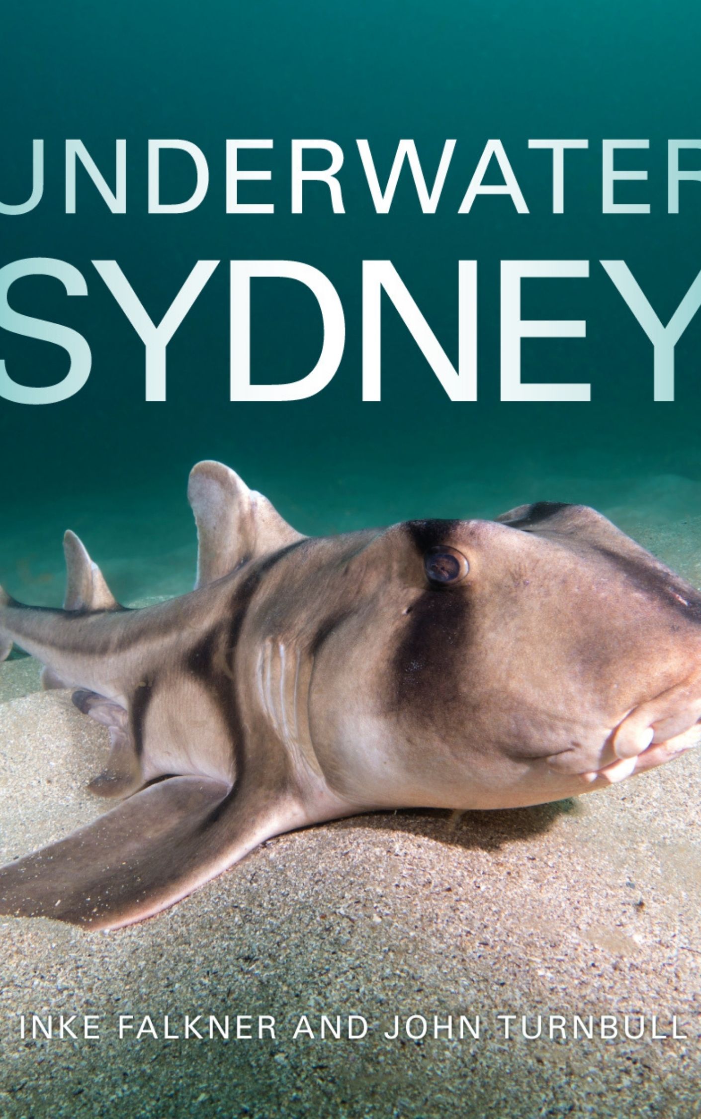 You are currently viewing Underwater Sydney by Inke Falkner