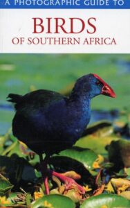 Read more about the article A Photographic Guide to Birds of Southern Africa by David Allan