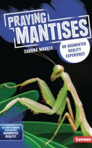 Read more about the article Praying Mantises by Sandra Markle